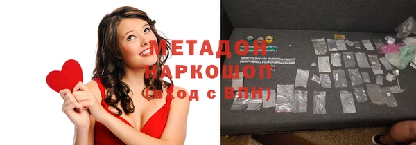 шишки Дмитровск