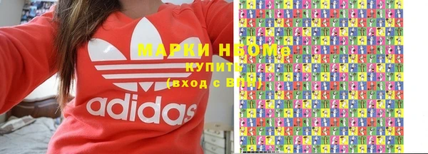 шишки Дмитровск