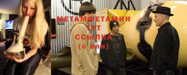 шишки Дмитровск