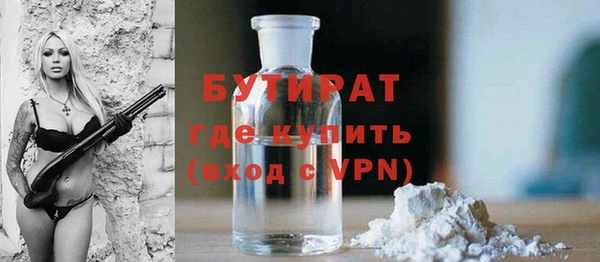 шишки Дмитровск