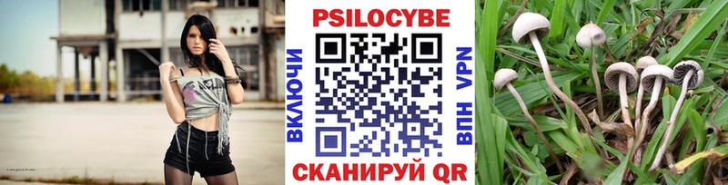 Купить Кяхта Галлюциногенные грибы ЛСД